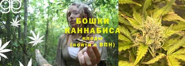 ГАЛЛЮЦИНОГЕННЫЕ ГРИБЫ Архангельск